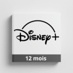 Disney+ - 12 mois