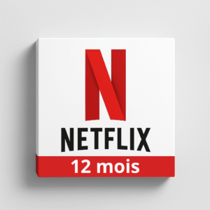 Netflix - 12 mois