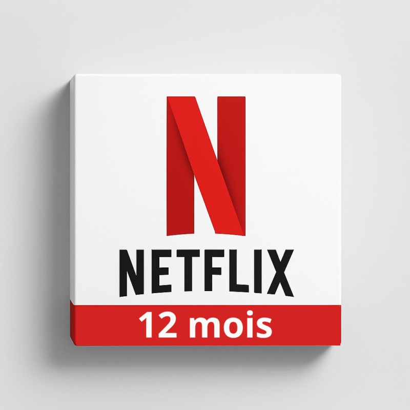 Netflix - 12 mois